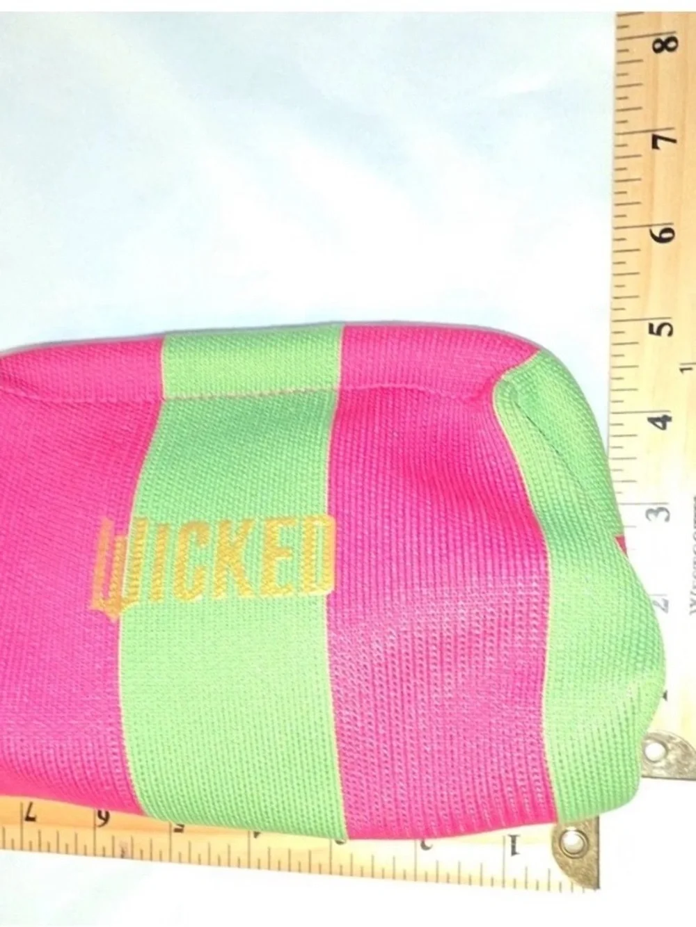 Wicked Clutch Purse Pouch Dumpling Bag Stripes Pink Green Travel Organizer